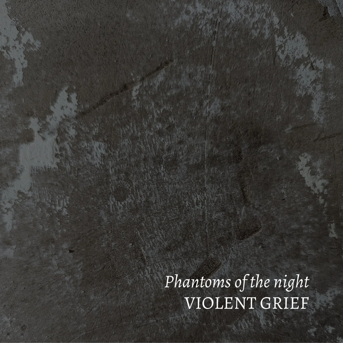 The cover of Phantoms Of The Night